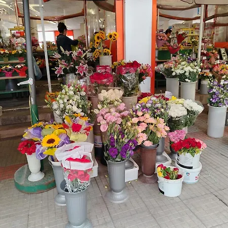 Good Mood & Parking 2 Appartement *