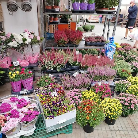 Good Mood & Parking 2 Apartmán